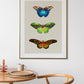 Butterfly Wall Art Print , Vintage Butterfly Print, Unframed, Butterflies, A4, A3, A2, A1, Butterfly Poster, Butterfly Gift, Vintage Decor,