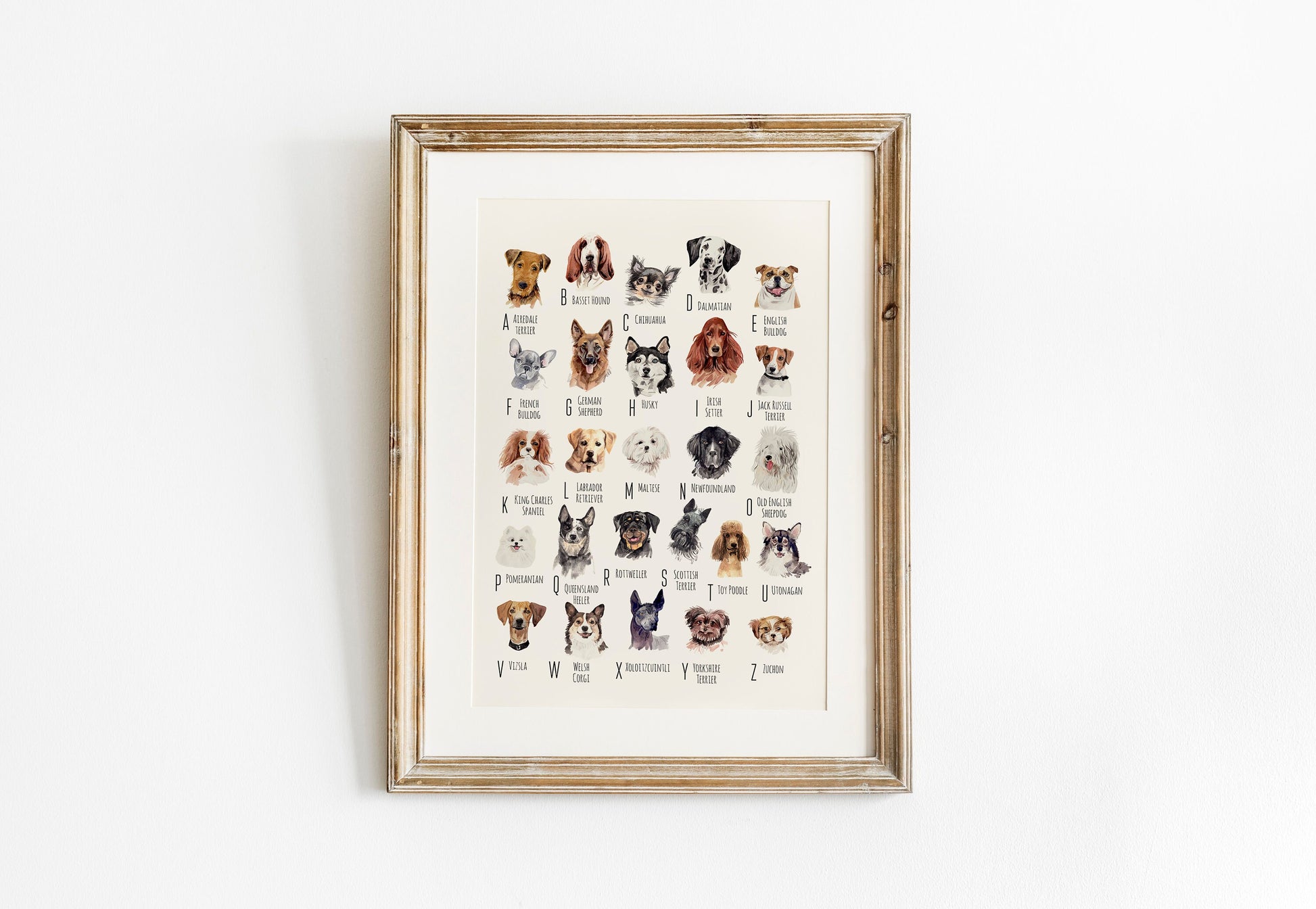 A-Z of Dogs Print, Dogs Alphabet, Dog Print Illustration, Pet Illustrations, Dog Lovers Gift, Dog Poster, Dog Prints, Dogs, Dog Breeds